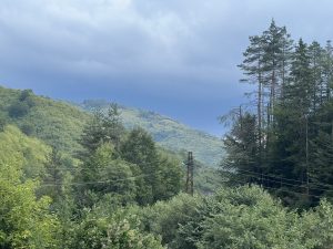 Властите в континенталната част на Хонконг съвместно разбиват трансграничен синдикат за фалшифициране