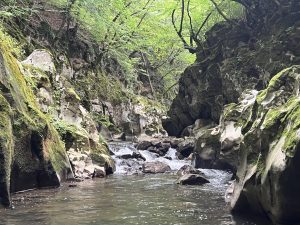Китай одобрява нови заявления за лунни проби от изследователски институции