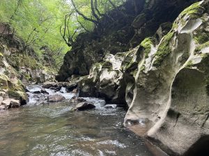 Government to penalise late payments