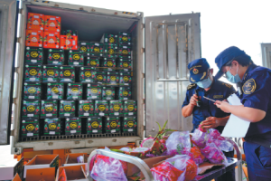 Китайският стартиращ AI Zhipu осигурява над $140 милиона ново стратегическо финансиране · TechNode