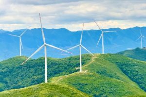 Изпълнителите на вятърната енергия призовават за край на „злонамерената“ ценова конкуренция