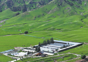 London agents earn lowest commission among global cities