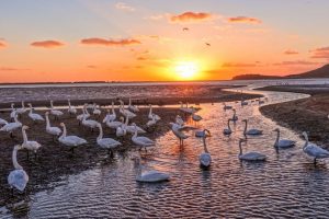 Десет снимки от цял ​​Китай: 31 октомври