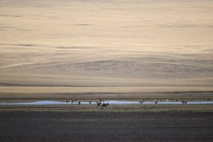 Континенталната част на Китай достига 2,29 милиона патента за изобретения с висока стойност в преследване на качеството на интелектуалната собственост