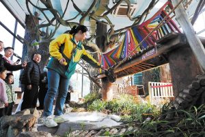 Dubai’s “reputation for safety in tatters” – as transactions and prices fall