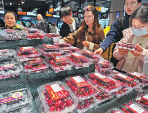 Чили създава по-тесни икономически връзки с нацията